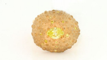 https://www.amgad.com/upload/product/FP284_FP284.jpg