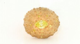 A 0.67 Marquise Intense Green Yellow Diamond Urchin Ring - 0.18 Yellow Melee Diamonds.